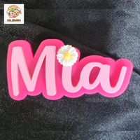Personalised Hair Clip 1pc