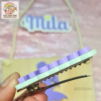 Personalised Hair Clip 1pc